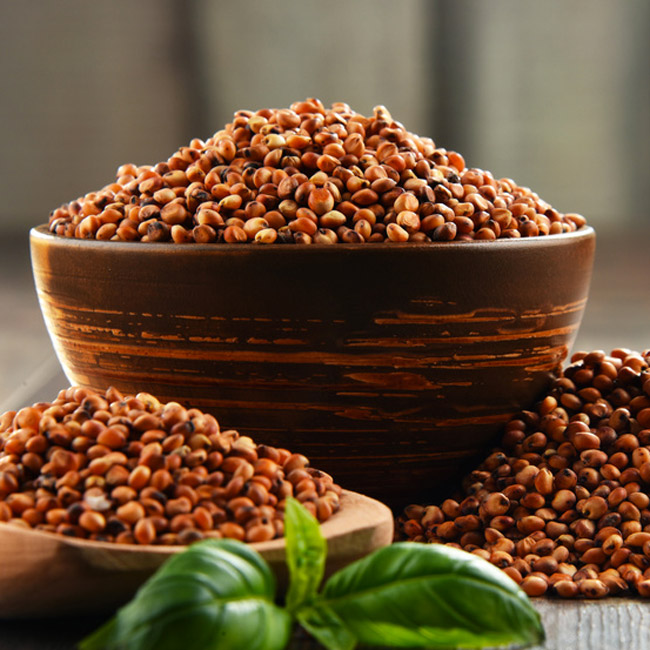 La Farine De Sorgho Valpibio