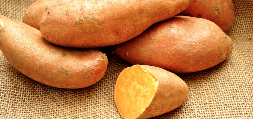 Les aliments sans gluten : La patate douce